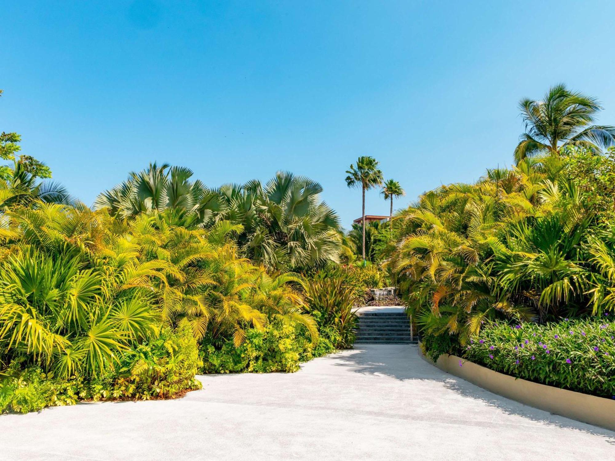 Armony Marival Resort & Spa Punta De Mita - Mgallery Collection (Adults Only) Punta Mita Exteriör bild